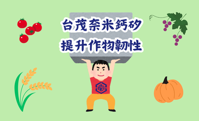 Enhancing Crop Resilience with DIAMOND QUANTUM’s Nano Calcium-Silicon Technology under Extreme Climate Challenges